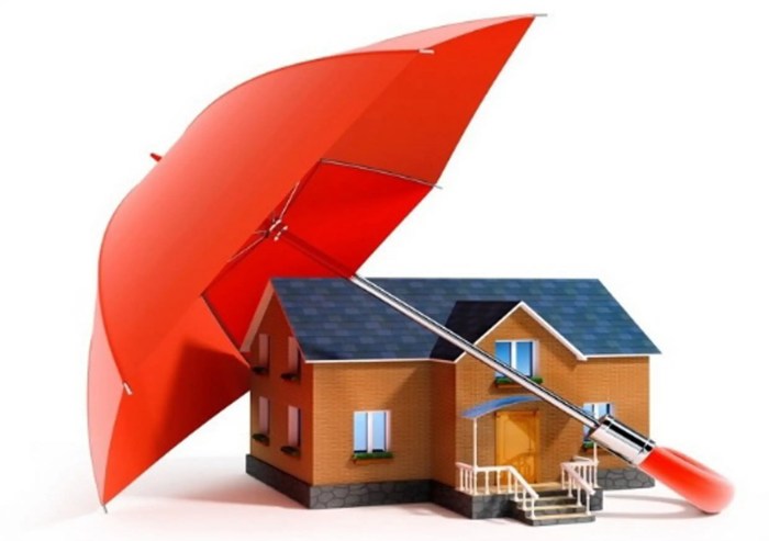 Top 5 Waterproofing Solutions for Your Home